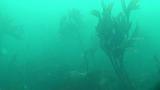 2009-09-23 11-53-05 04L